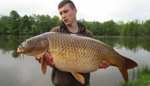 A carp from Autels, Oct 2020