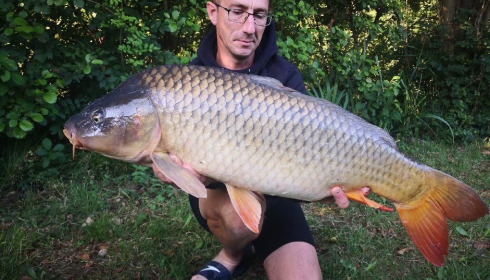 A carp from Autels, Oct 2020
