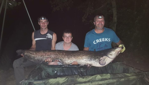 A catfish from Autels, Oct 2020