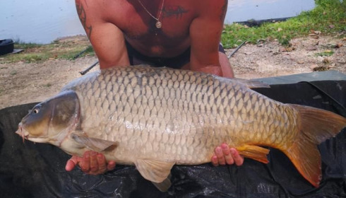 A carp from Blue Lake, sherman, Aug 2020