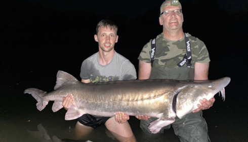 A fish from Blue Lake, 108lb Diamond back sturgeon, Aug 2020
