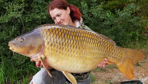 A fish from Brie, common, Aug 2020