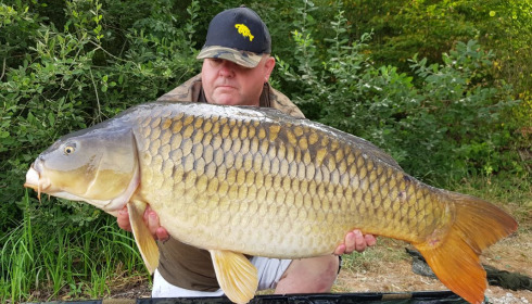A fish from Brie, common, Aug 2020