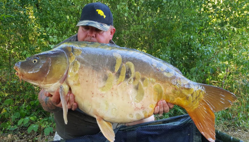 A fish from Brie, mirror, Aug 2020