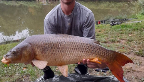 A carp from Cailleaux, beeland, Sep 2020