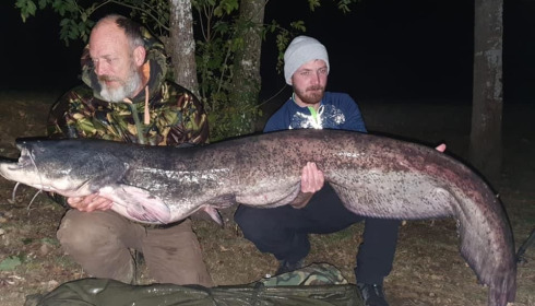 A catfish from Cailleaux, a, Oct 2020