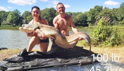 A catfish from Cailleaux, giran, Jul 2020