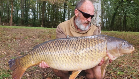 A carp from Cailleaux, a, Oct 2020