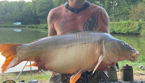 A carp from Cailleaux, creig, Aug 2020