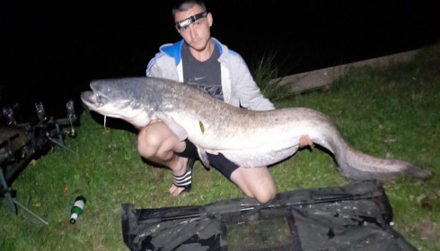 A catfish from Cailleaux, beeland, Sep 2020