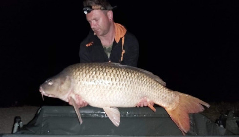 A carp from Cailleaux, giran, Jul 2020