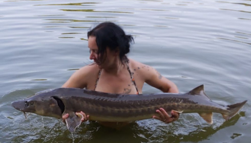 A carp from Cailleaux, giran, Jul 2020