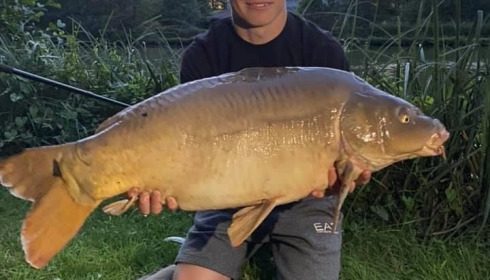 A carp from Cailleaux, radford, Aug 2020