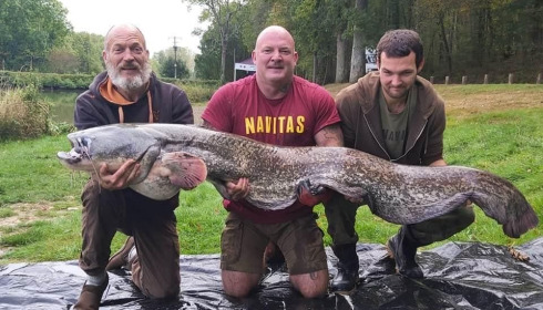 A catfish from Cailleaux, Oct 2020
