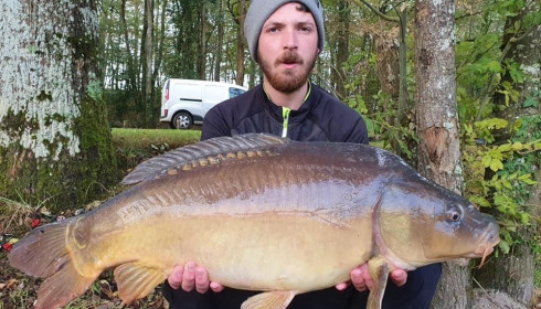 A carp from Cailleaux, a, Oct 2020