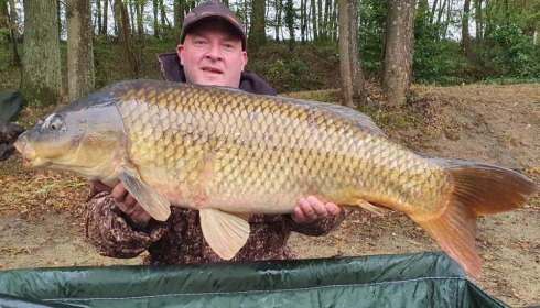 A carp from Cailleaux, beeland, Sep 2020