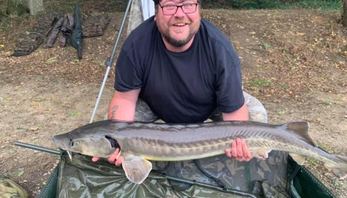 A sturgeon from Cailleaux, Oct 2020