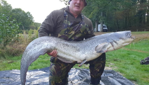A carp from Cailleaux, a, Oct 2020