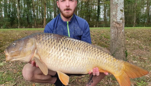A carp from Cailleaux, a, Oct 2020