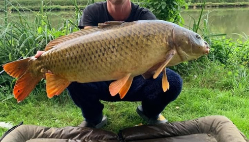 A carp from Cailleaux, radford, Aug 2020