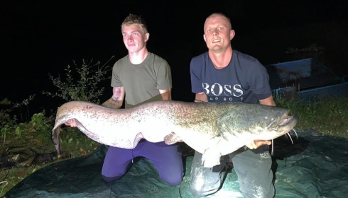 A carp from Cailleaux, radford, Aug 2020