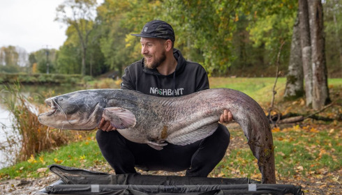 A carp from Cailleaux, Jamie Bellhouse, Oct 2020