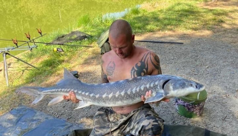 A fish from Cailleaux, sturgeon, Aug 2020