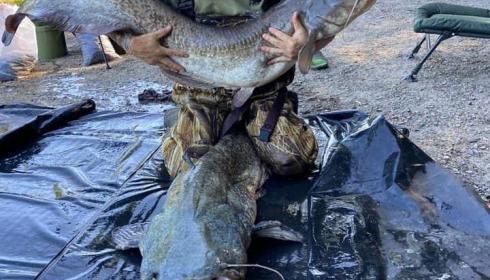 A carp from Cailleaux, creig, Aug 2020