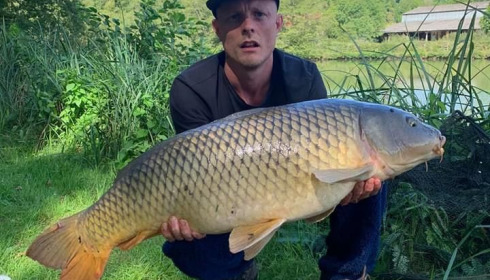 A carp from Cailleaux, radford, Aug 2020