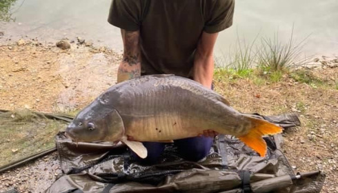A carp from Cailleaux, radford, Aug 2020
