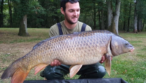 A carp from Cailleaux, a, Oct 2020