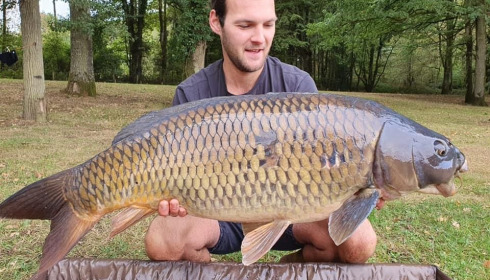 A carp from Cailleaux, a, Oct 2020