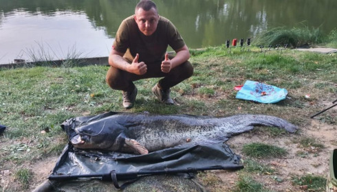 A carp from Cailleaux, beeland, Sep 2020