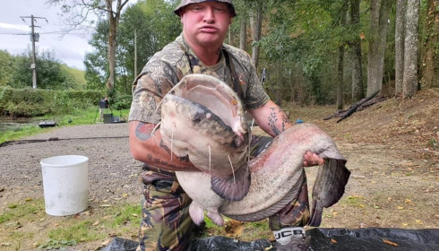 A catfish from Cailleaux, Oct 2020
