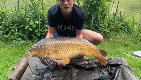 A 28 lb carp from Cailleaux, radford, Aug 2020