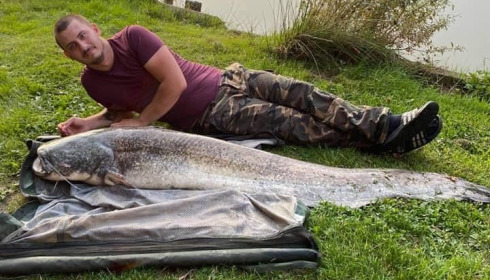 A carp from Cailleaux, beeland, Sep 2020
