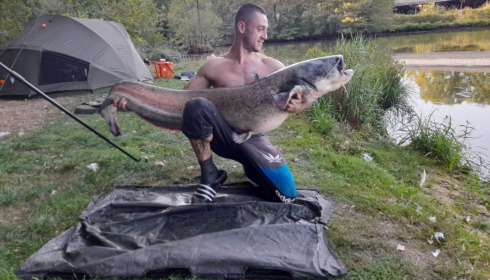 A catfish from Cailleaux, beeland, Sep 2020