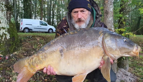 A carp from Cailleaux, a, Oct 2020