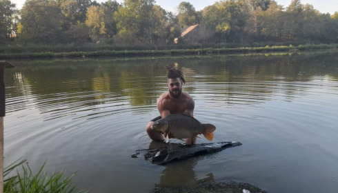 A carp from Cailleaux, beeland, Sep 2020