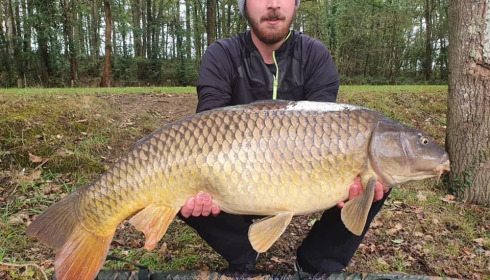 A carp from Cailleaux, a, Oct 2020