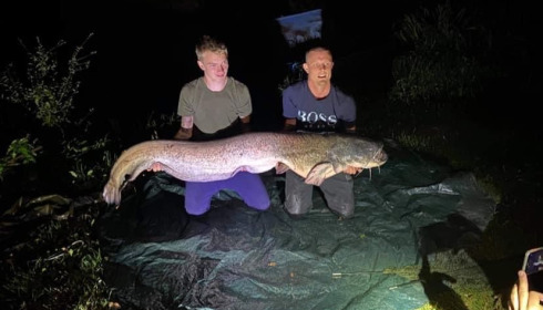 A 94 lb catfish from Cailleaux, radford, Aug 2020