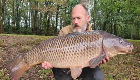 A carp from Cailleaux, a, Oct 2020