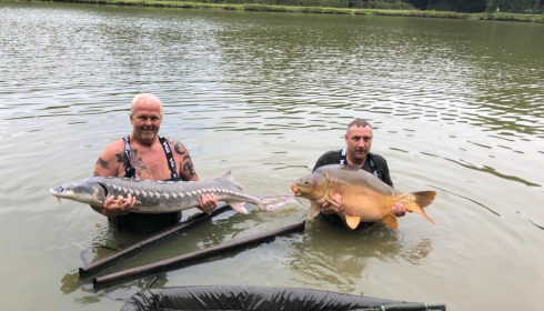 A carp from Cailleaux, albert finigan and dan tapender, Jul 2020
