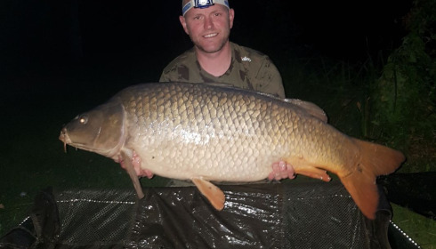 A carp from Cailleaux, beeland, Sep 2020