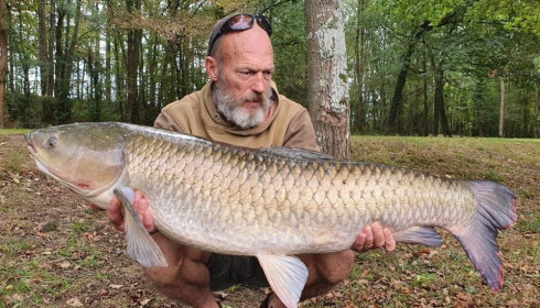 A grass carp from Cailleaux, a, Oct 2020