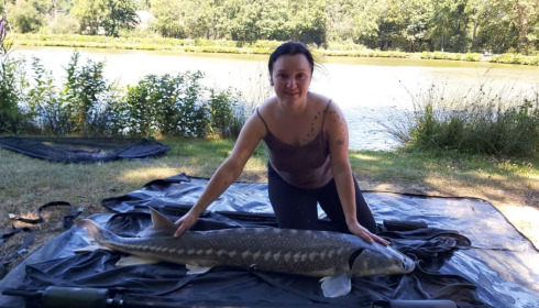 A carp from Cailleaux, giran, Jul 2020