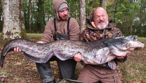A catfish from Cailleaux, a, Oct 2020
