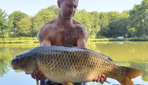 A carp from Cailleaux, giran, Jul 2020