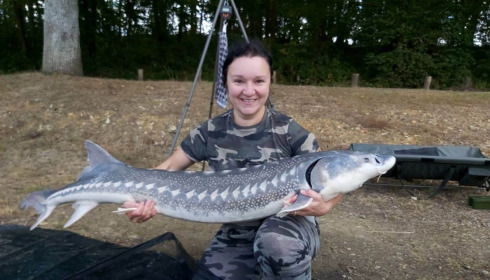 A sturgeon from Cailleaux, giran, Jul 2020