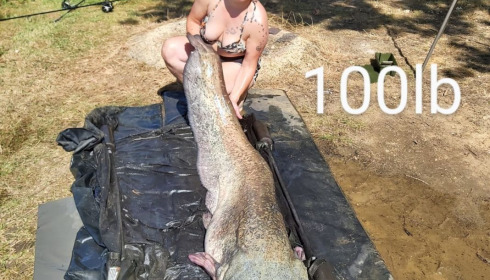 A 99 lb catfish from Cailleaux, giran, Jul 2020